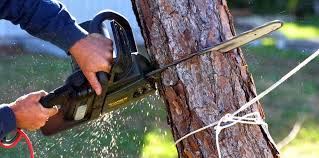Best Utility Line Clearance  in Milltown, NJ