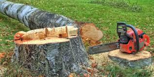 Best Hazardous Tree Removal  in Milltown, NJ