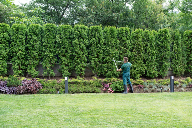 Best Pest Control for Lawns  in Milltown, NJ