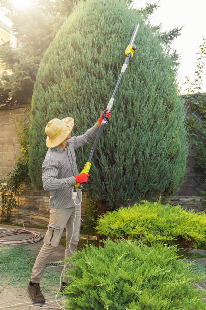 Best Commercial Tree Services  in Milltown, NJ